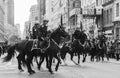 Annual Veteran`s Day Parade in New York; NYPD Horseback police