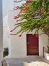 Entry of historic building with colourful blooming plant