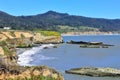 Ano Nuevo State Park in Big Sur on Pacific Coast, California Royalty Free Stock Photo