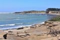 Ano Nuevo State Park with Elephant Seals on Pacific Beaches, Central California