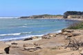 Ano Nuevo State Park with Elephant Seals on Pacific Beaches, Central California Royalty Free Stock Photo