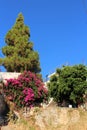 The picturesque village of Ano Platanias in Crete is situated on a hill