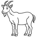 Anoa goat knocks icon vector illustration