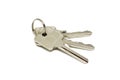 Anodized metal keys Royalty Free Stock Photo
