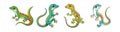 Anole Coloring Animal Illustration for Fun Royalty Free Stock Photo