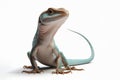 Anole lizard isolated on solid white background. ai generative