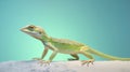 Anole Lizard perched on a rocky surface