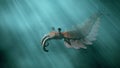 Anomalocaris, prehistoric creature of the Cambrian period 3d science illustration Royalty Free Stock Photo