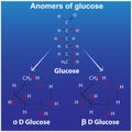 anomers of glucose pyranose alpha d glucose
