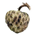 Anone fruit with clipping path Royalty Free Stock Photo