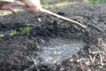 Anonymous child hands playing with stick in mud of backyard