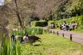 Anonymous families enjoying sunny day off watching wild geese in park
