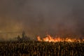 Farmer silhouette fighting fire in agricultural farming field with wall of smoke