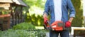 Anonymous handyman cutting hedge, using electric trimmer for shaping bushes at sunny day. Royalty Free Stock Photo