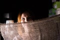 Anonymous, hidden image of a woman. A woman in the dark behind a cloth. Rethinking life, meditations, depressive psychological