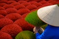 Anonymous Vietnamese vendor in field colorful incense sticks