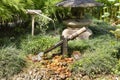 Rio de Janeiro, Brazil, Japanese corner in the Botanical garden. Japanese bamboo fountain.