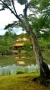 Another experience of Kinkakuji, Golden Pavilion.