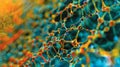 Another image shows a crosssectional view of the polymer revealing the complex multidirectional arrangement of its
