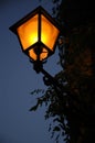 Another lamppost Royalty Free Stock Photo