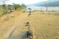 Another Stone Line Towards River Beas Himachal Pradesh India Background View