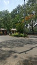 Another view of Hot Summer shaded Road with Trees.