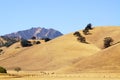 Another view of Mt Diablo, Walnut Creek, CA