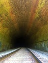 Train Tracks Inside a Dark Tunnel full of Graffiti Royalty Free Stock Photo