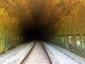 Train Tracks and Graffiti Inside a Dark Tunnel Royalty Free Stock Photo