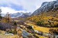 Another View of yading Scenic Area,sichuan Royalty Free Stock Photo