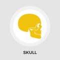 Anotomy skull flat icon