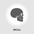 Anotomy skull flat icon