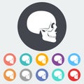Anotomy skull