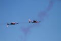 60 ans Patrouille de France