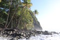 Anse Couleuvre Black Sand Beach Martinique Islands Caribbean Sea