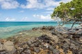 Anse Figuier in Martinique