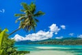 Anse a La Mouche - Paradise beach in Seychelles, Mahe Royalty Free Stock Photo