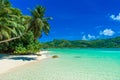 Anse a La Mouche - Paradise beach in Seychelles, Mahe Royalty Free Stock Photo
