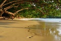 Anse Lazio beach, Seychelles Royalty Free Stock Photo