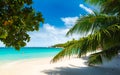 Anse Lazio - the most beautiful beach of Seychelles. Praslin, Seychelles Royalty Free Stock Photo