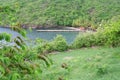 Anse noire beach, Martinique, France.