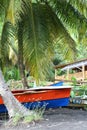 Anse noire beach, Martinique, France.