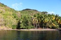 Anse Noire Beach Martinique Island Caribbean Sea