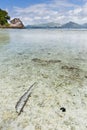 Anse Severe, La Digue, Seychelles