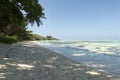 Anse Source d'Argent beach, La Digue Island, Seychelles Royalty Free Stock Photo