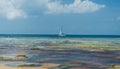 Anse Source d`Argent - beautiful Beach on tropical island La Digue in Seychelles Royalty Free Stock Photo