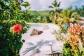 Anse Takamaka beach, Seychelles. Tropical red hibiscus flower against sandy beach and coconut palms in background Royalty Free Stock Photo