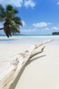Anse Volbert, Seychelles Royalty Free Stock Photo