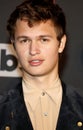 Ansel Elgort