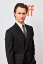 Ansel Elgort at premiere of The Goldfinch at Toronto International Film Festival